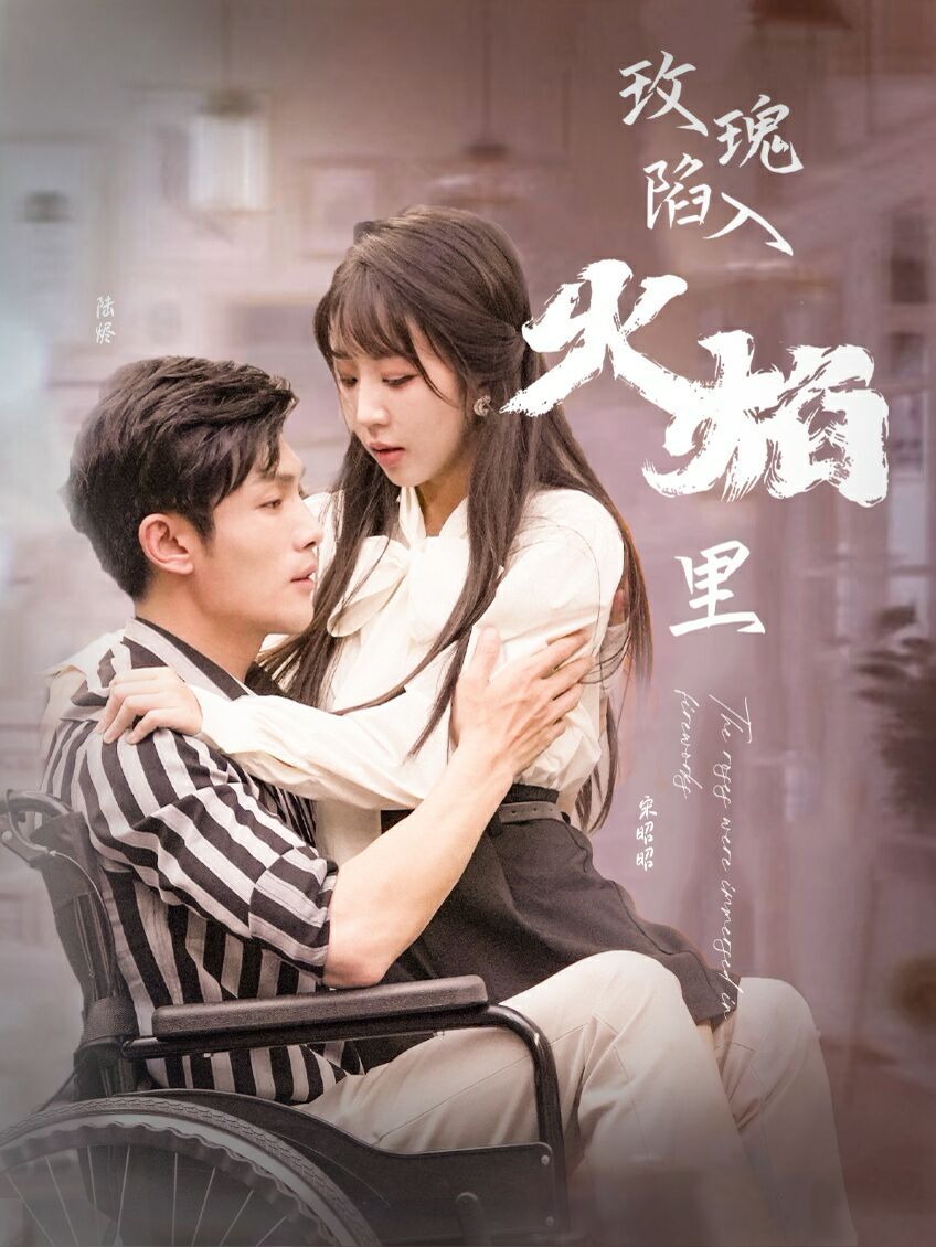 新玫瑰陷入火焰里 第41-60集