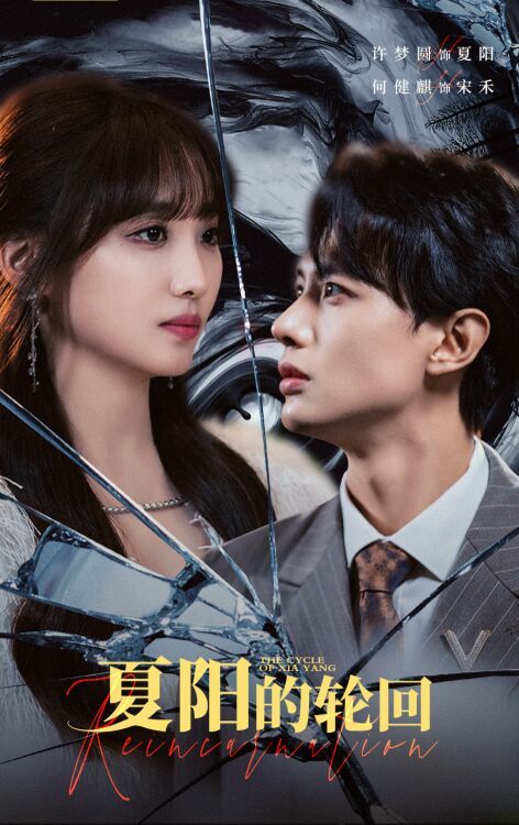 夏阳的轮回 第61-85集完结(大结局)