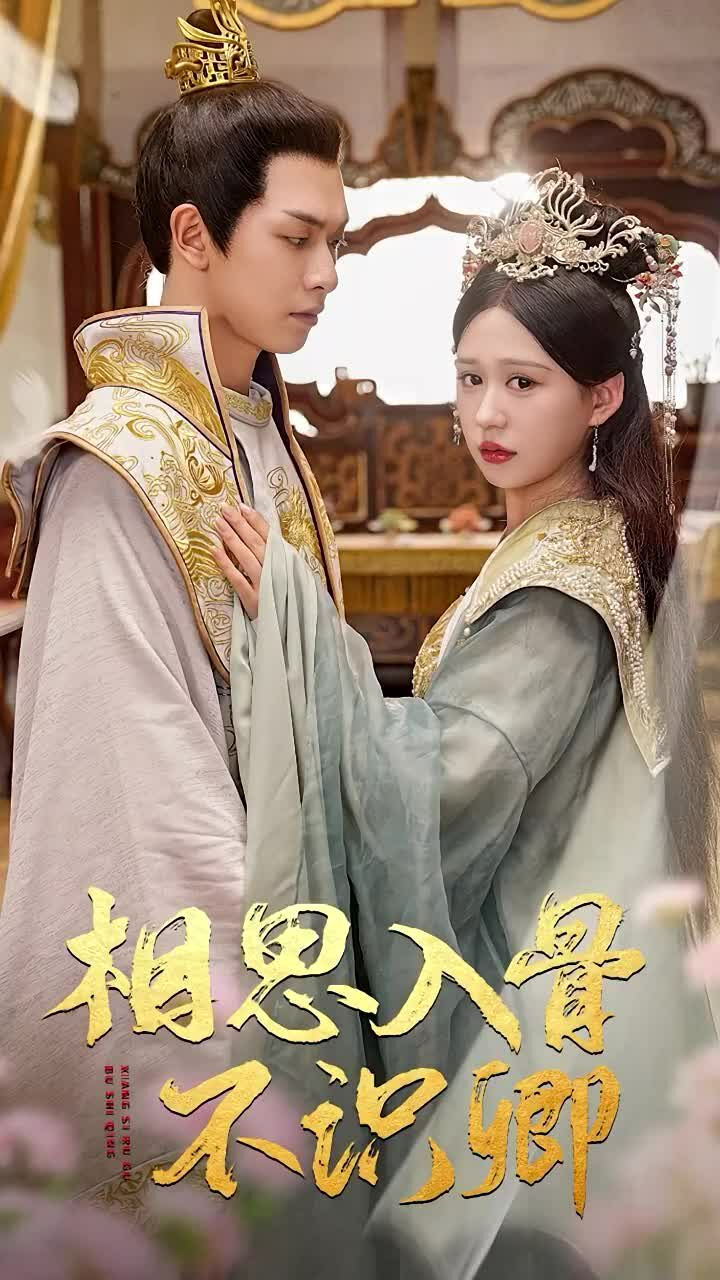 相思入骨不识卿 第21-40集