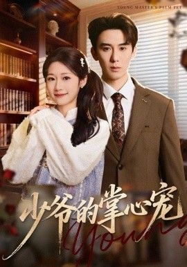 少爷的掌心宠 全集完结(大结局)