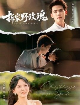 拆家野玫瑰 全集完结(大结局)