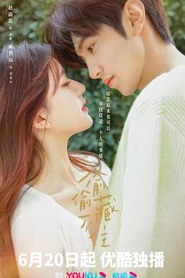 偷偷藏不住 第25集完结(大结局)