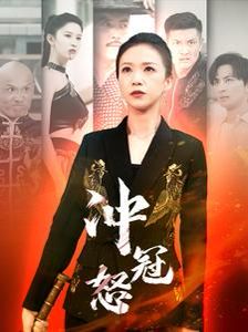 冲冠怒 第41-60集