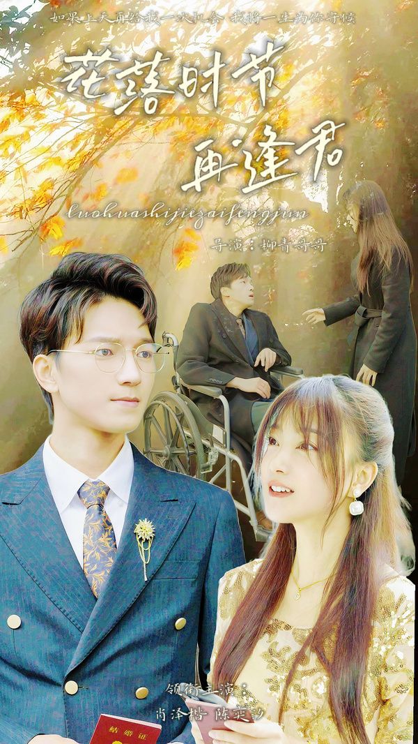 落花时节再逢君 第1-20集