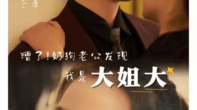 糟了！奶狗老公发现我是大姐大 第21-40集