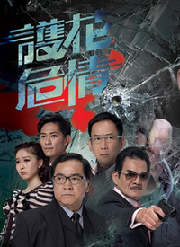 护花危情 第12集