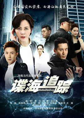 谍海追踪 第33集