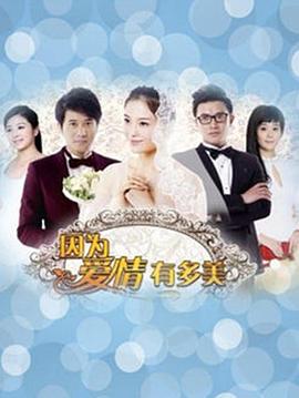 因为爱情有多美DVD 第32集