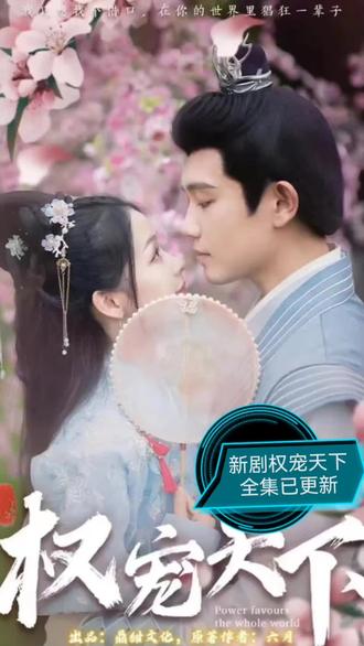 权宠天下 11-20集