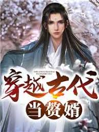 穿越古代当赘婿 1-20集