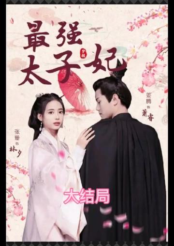 最强太子妃 41-60集
