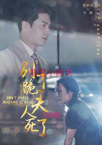 别跪了，夫人死了 21-40集