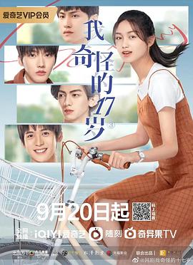 我奇怪的17岁 第13集
