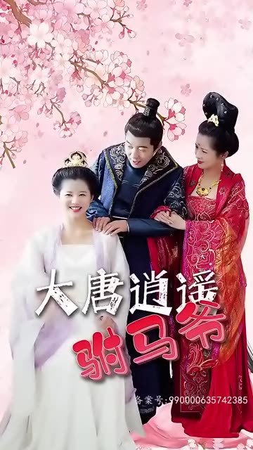 大唐逍遥驸马爷 47-71集