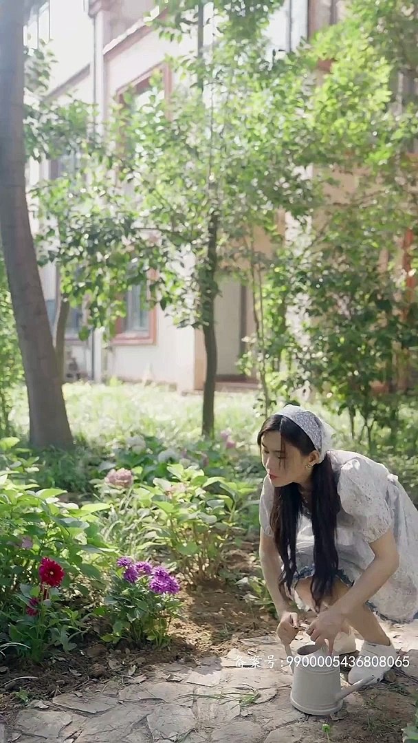 情深不悔 41-60集