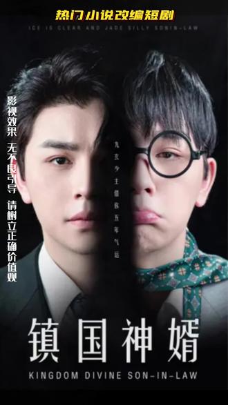 镇国神婿 1-20集