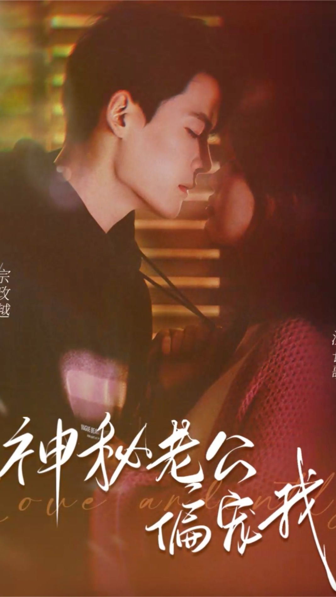 神秘老公娇宠我 41-60集