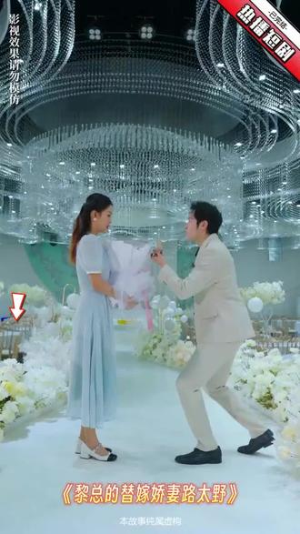黎总的替嫁娇妻路太野 31-50集