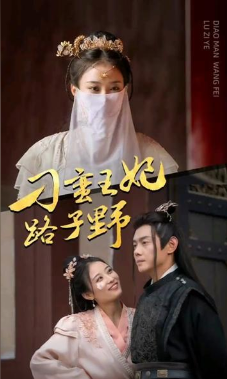 刁蛮王妃路子野 21-30集