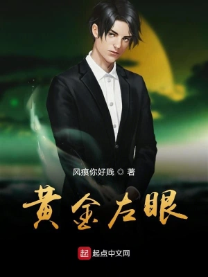 黄金左眼 31-45集