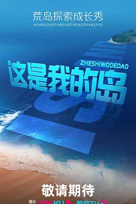 这是我的岛 20240601