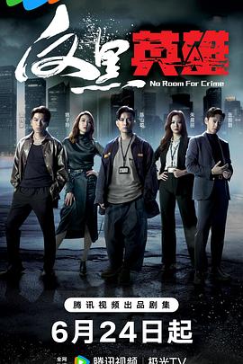 反黑英雄国语 第02集