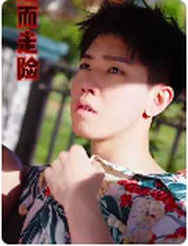 铤而走险$步步高升 全集(大结局)