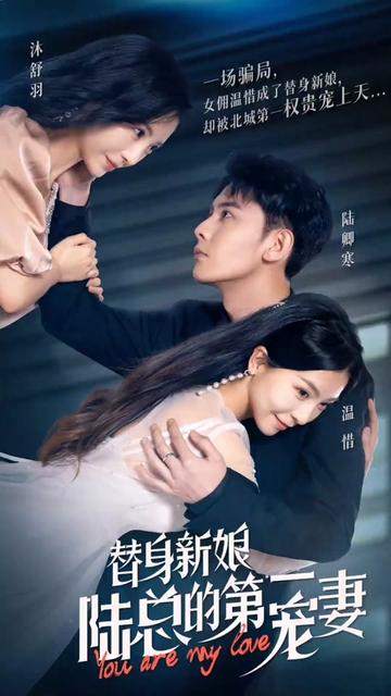 替嫁新娘陆总的第一宠妻 全集(大结局)