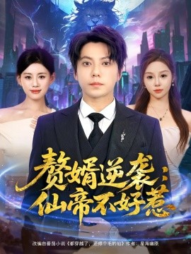 赘婿逆袭：仙帝不好惹 全集(大结局)
