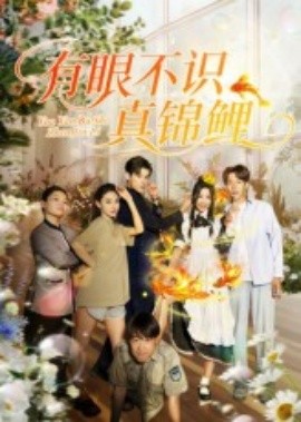 有眼不识真锦鲤 全集(大结局)