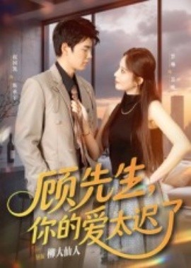 顾先生你的爱太迟了 全集完结(大结局)