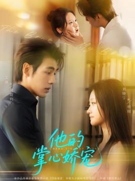 他的掌心娇宠 全集完结(大结局)