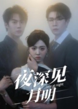 夜深见月明 全集完结(大结局)