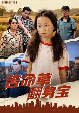 苦命草翻身宝 全集完结(大结局)