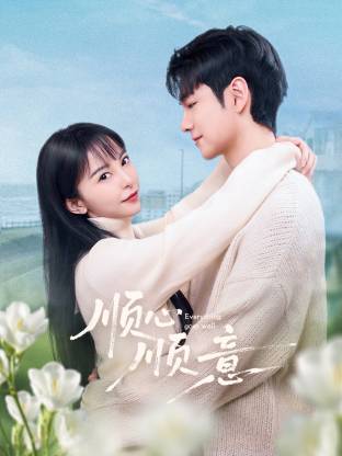 顺心顺意 第08集