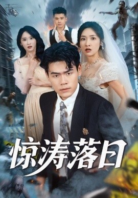 惊涛落日 全集完结(大结局)