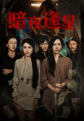 暗夜逢星 全集完结(大结局)