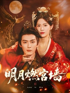 明月燃宫墙 全集完结(大结局)