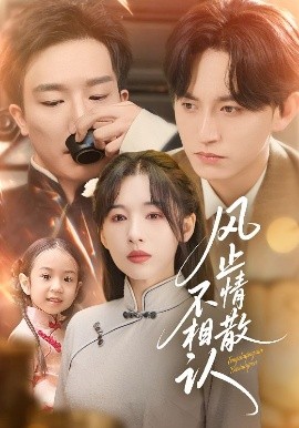 风止情散不相认 全集完结(大结局)