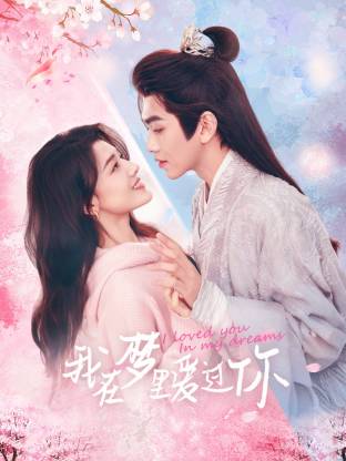 我在梦里爱过你 第17集