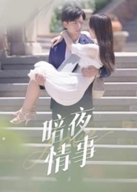 暗夜情事 全集(大结局)