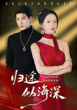 归途似海深 全集(大结局)