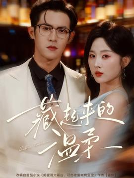藏起来的温柔 全集(大结局)