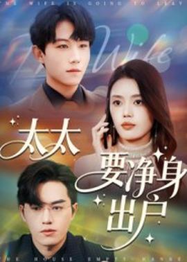太太要净身出户 全集(大结局)