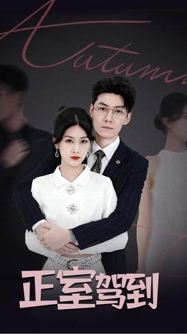 正室驾到 全集完结(大结局)