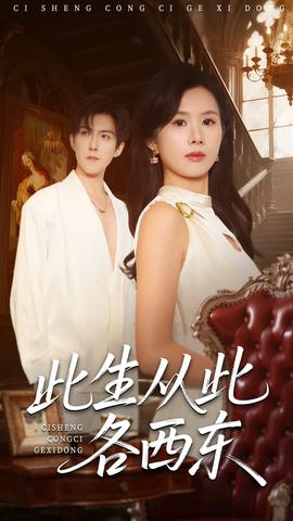 此生从此各西东 全集(大结局)