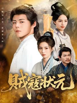 贼寇状元 全集完结(大结局)