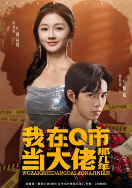 我在Q市当大佬那几年 全集(大结局)