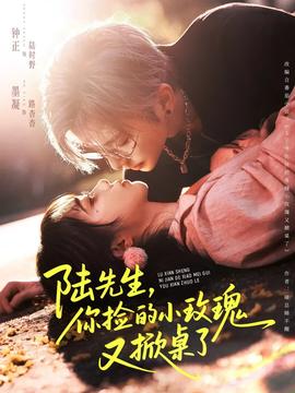 陆先生，你捡的小玫瑰又掀桌了 全集(大结局)