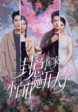 封总，你家小白花她开大了 全集(大结局)